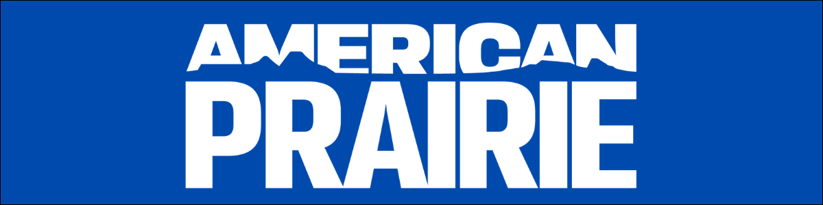 AP Landing Page Logo Blue-1